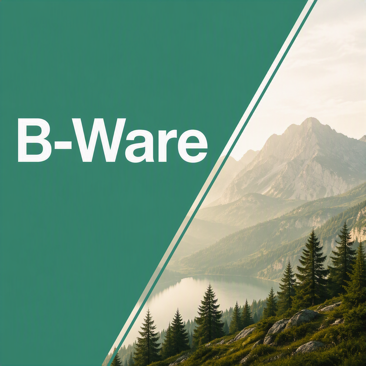 B-Ware